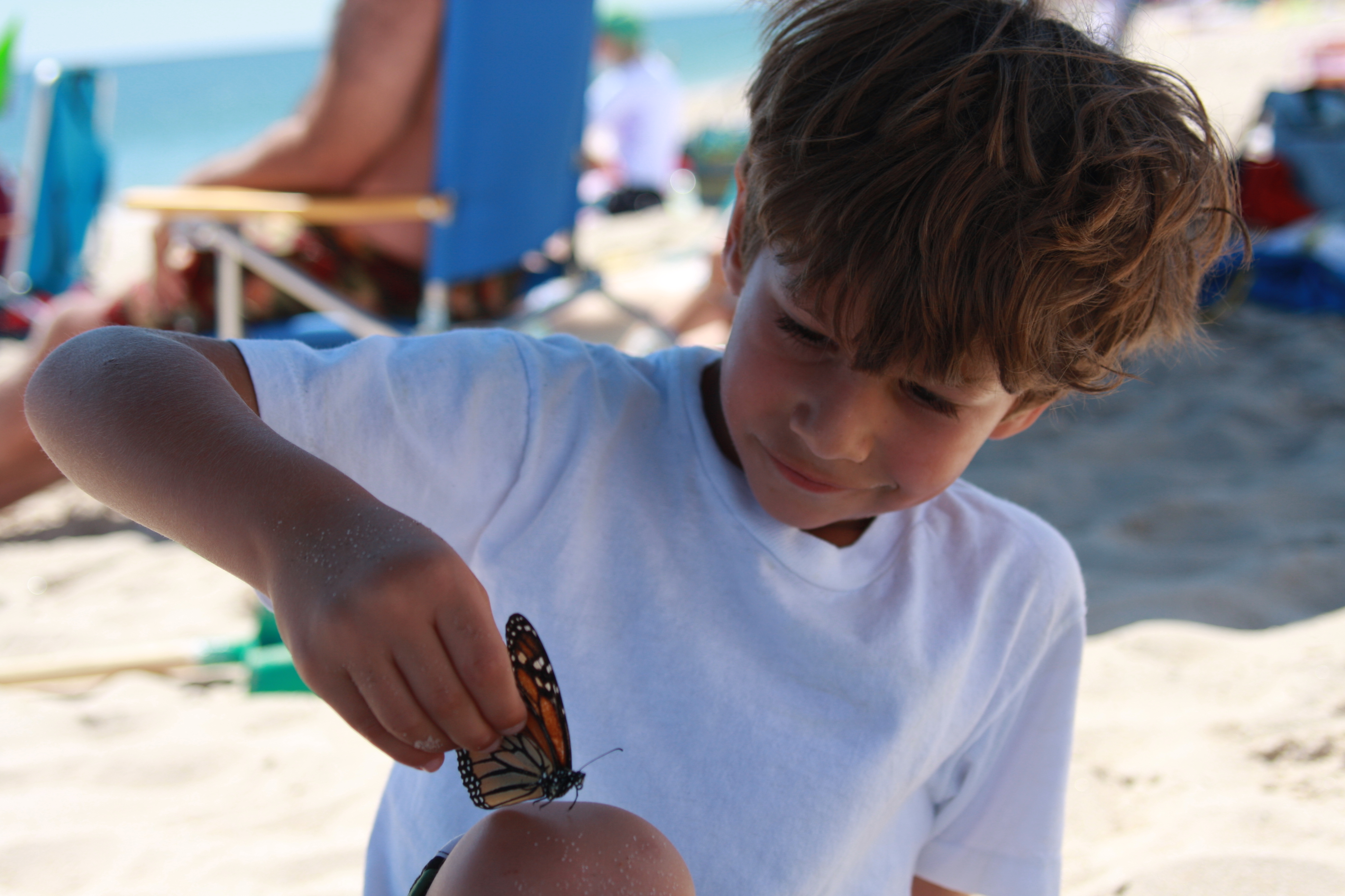 Young Wyatt catching butterflies