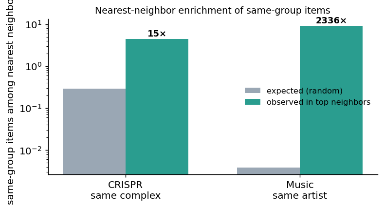Nearest-neighbor enrichment of same-group items relative to chance