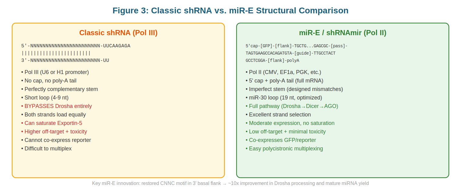 Comparison of classic shRNA versus miR-E scaffold